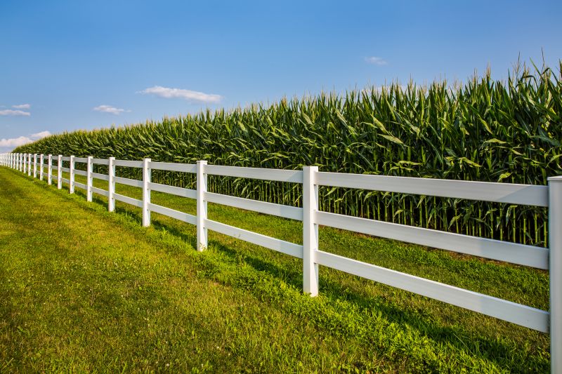 Split Rail Fences