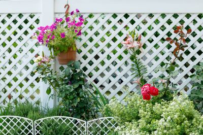 Garden Fence Installation